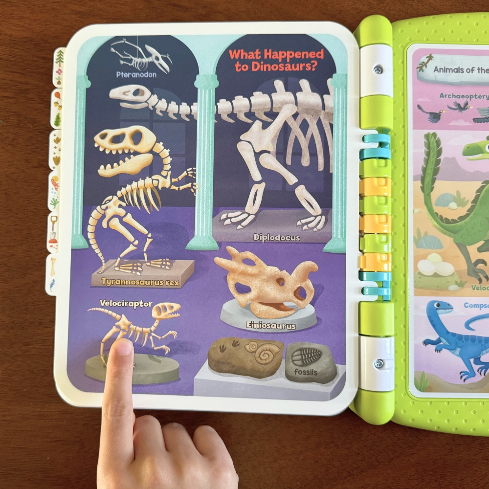 Leapfrog® Touch & Learn Dinosaur Book™ Fossils